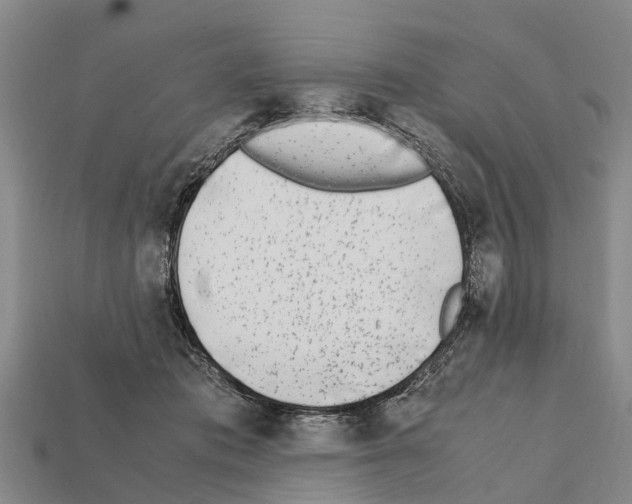 X0000111920413200909071222