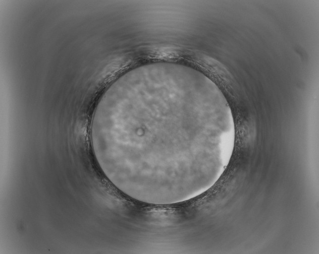 X0000111920415200909071222