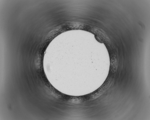 X0000111920416200909071222