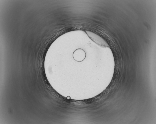 X0000111920417200909071222