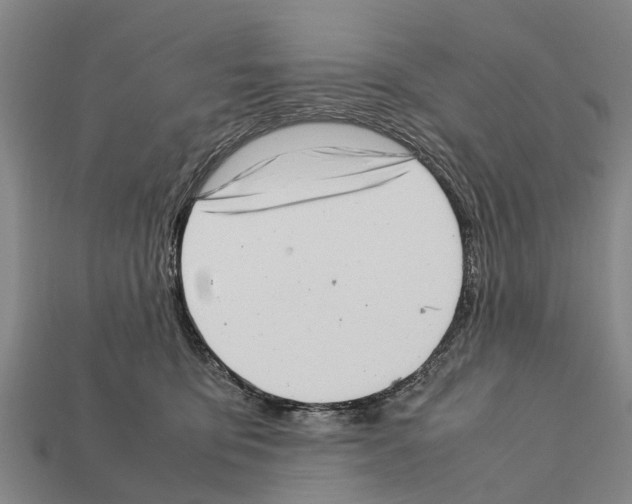 X0000111920419200909071221