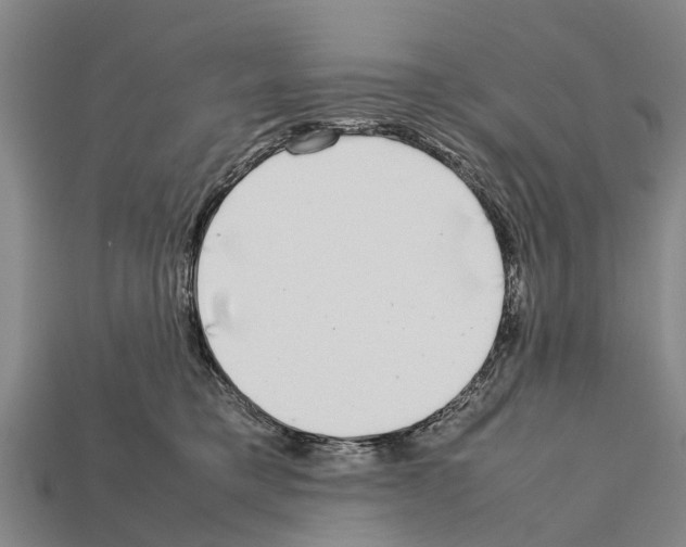 X0000111920421200909071221