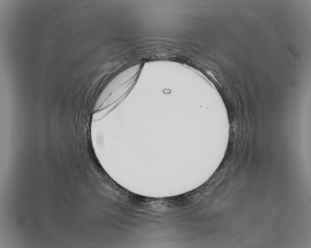 X0000111920423200909071221