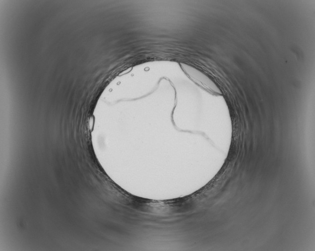 X0000111920425200909071221