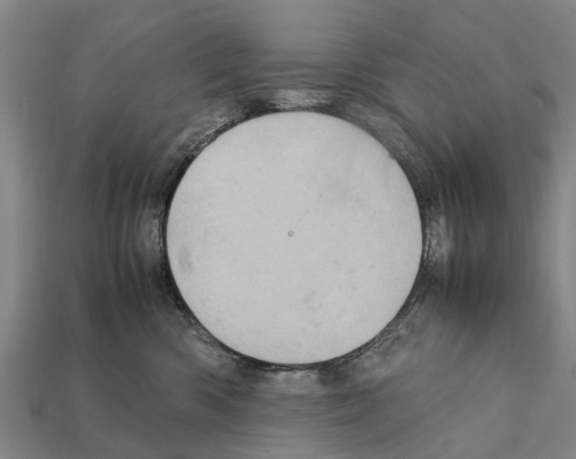 X0000111920426200909071221