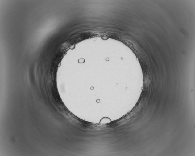 X0000111920429200909071221