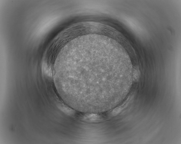 X0000111920431200909071221