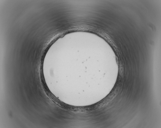 X0000111920434200909071221