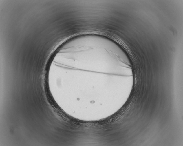 X0000111920436200909071221