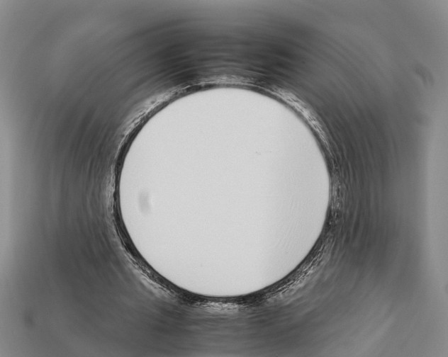 X0000111920437200909071221