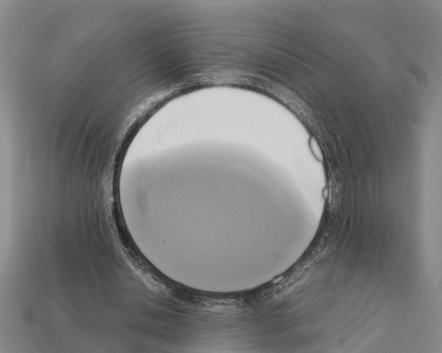 X0000111920438200909071221