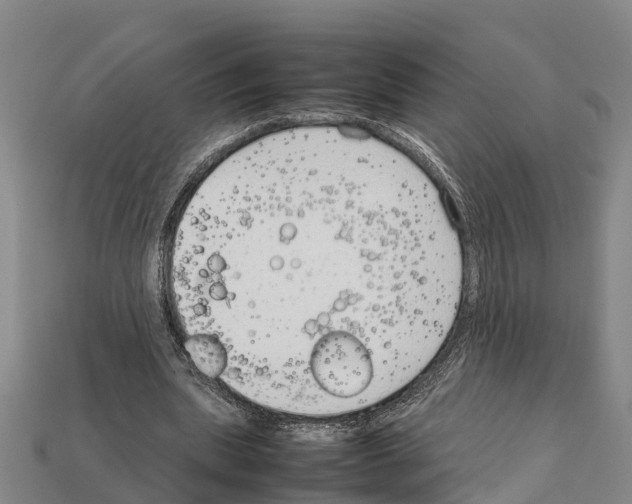 X0000111920439200909071221