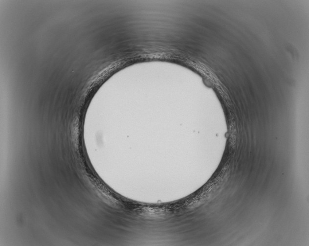 X0000111920442200909071221