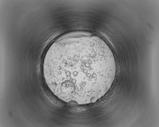 X0000111920443200909071221