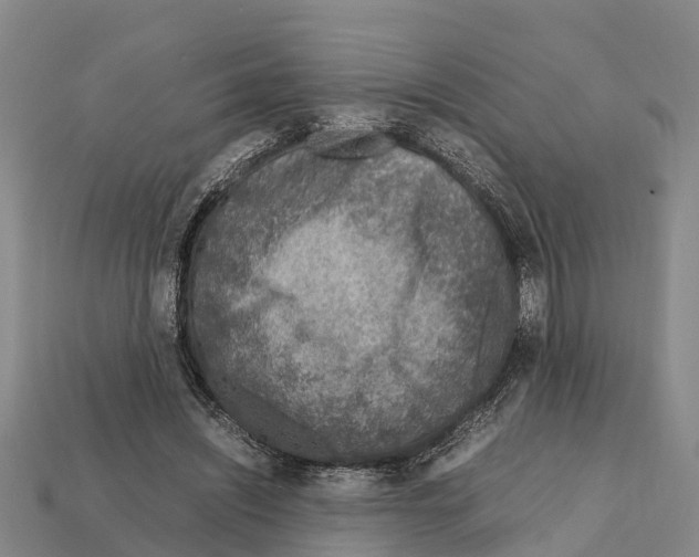 X0000111920444200909071221