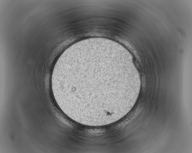 X0000111920445200909071221