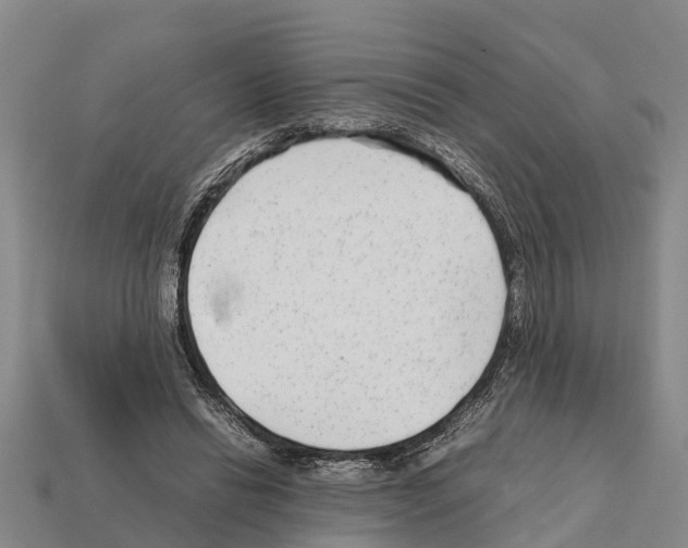 X0000111920446200909071221