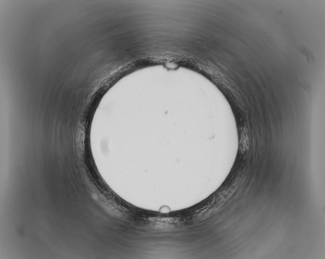 X0000111920448200909071221