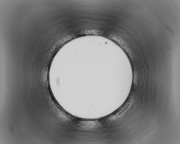 X0000111920449200909071221