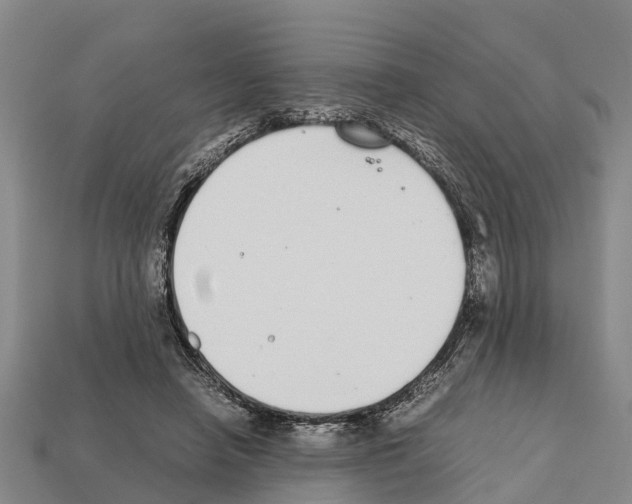 X0000111920450200909071221