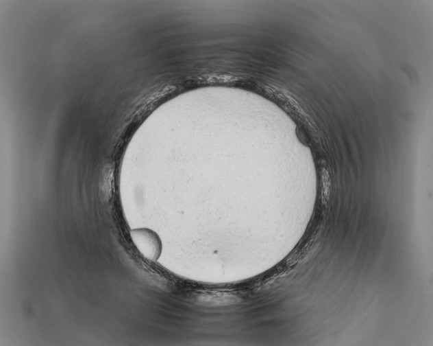 X0000111920451200909071221