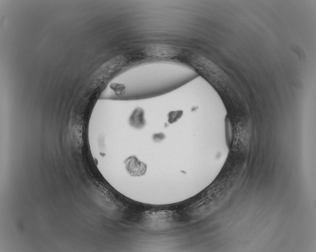 X0000111920452200909071221