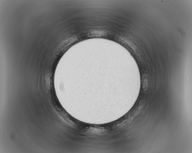 X0000111920455200909071221