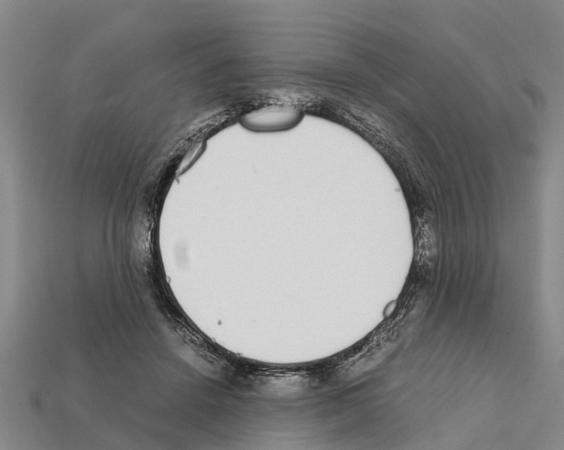 X0000111920456200909071221