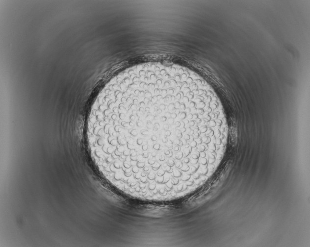 X0000111920458200909071221