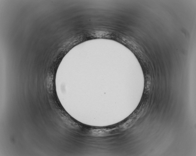 X0000111920461200909071221