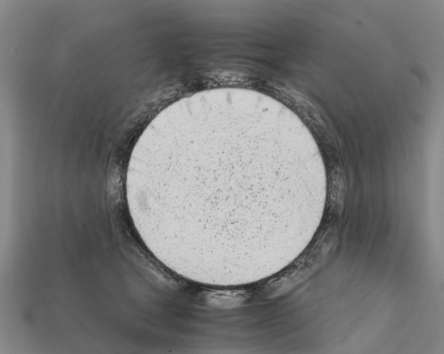 X0000111920465200909071221