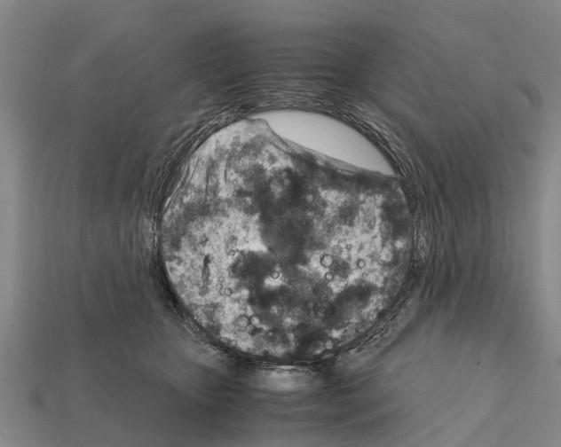 X0000111920467200909071221