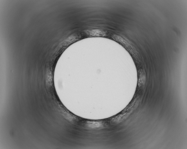 X0000111920469200909071221