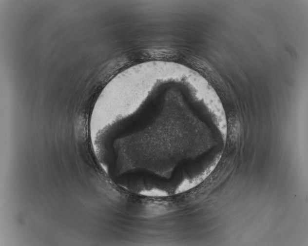 X0000111920471200909071221