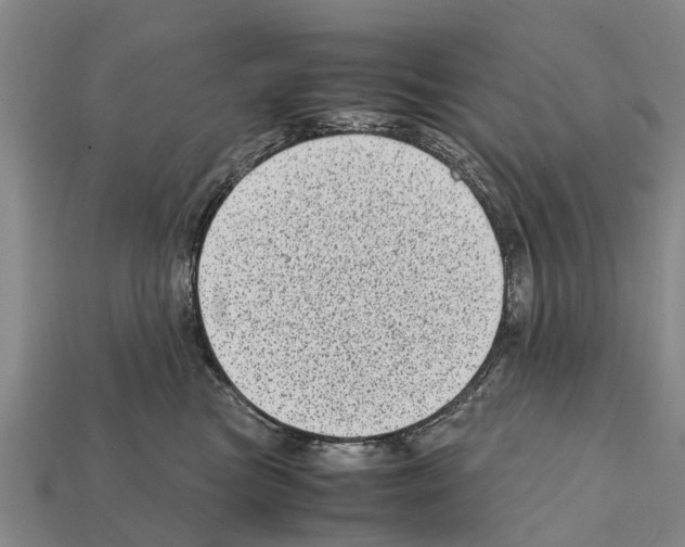 X0000111920473200909071221