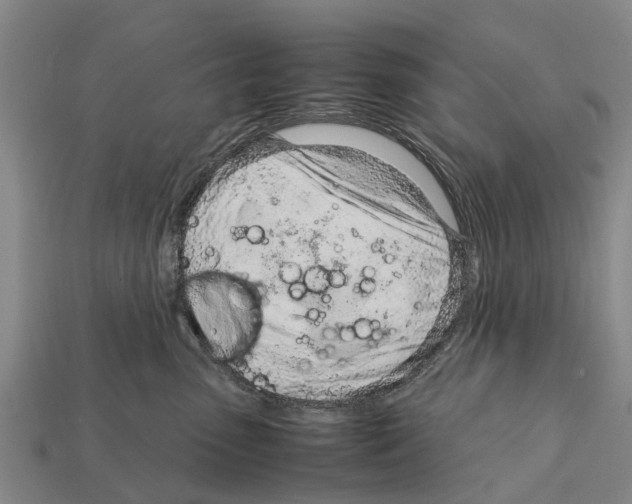 X0000111920475200909071221