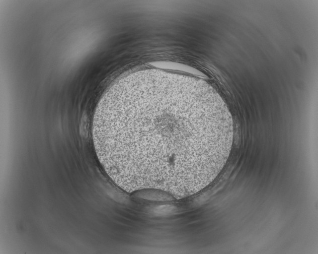 X0000111920477200909071221