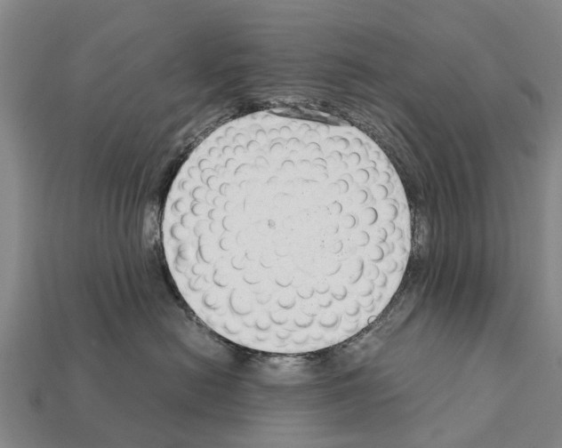 X0000111920478200909071221