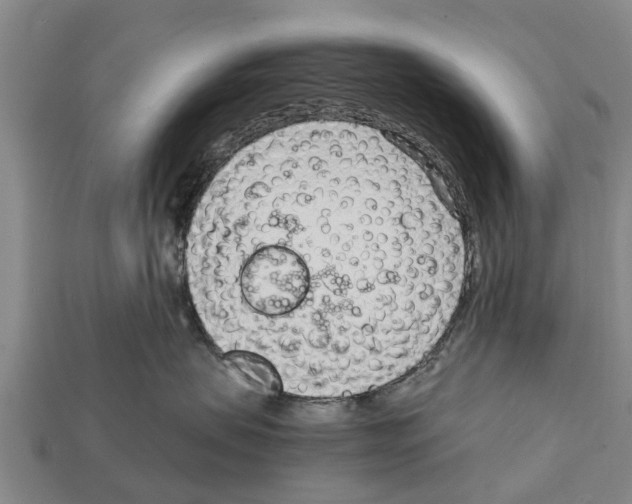 X0000111920479200909071221