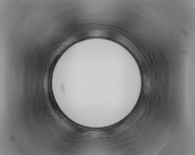 X0000111920482200909071221