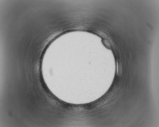 X0000111920483200909071221