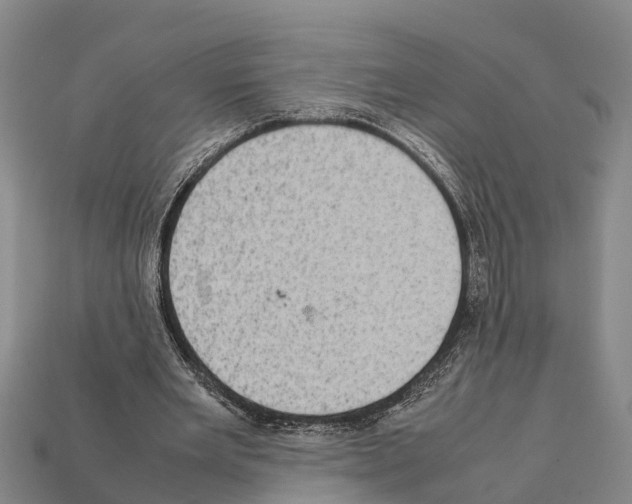 X0000111920485200909071221