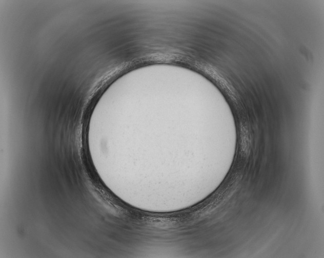 X0000111920486200909071221