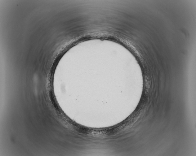 X0000111920487200909071221