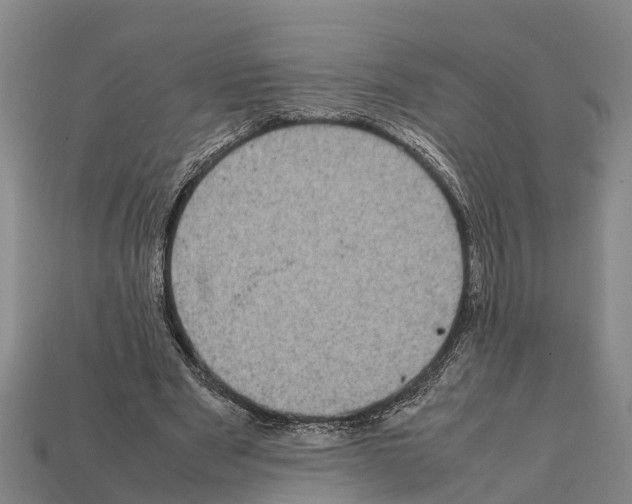 X0000111920489200909071221