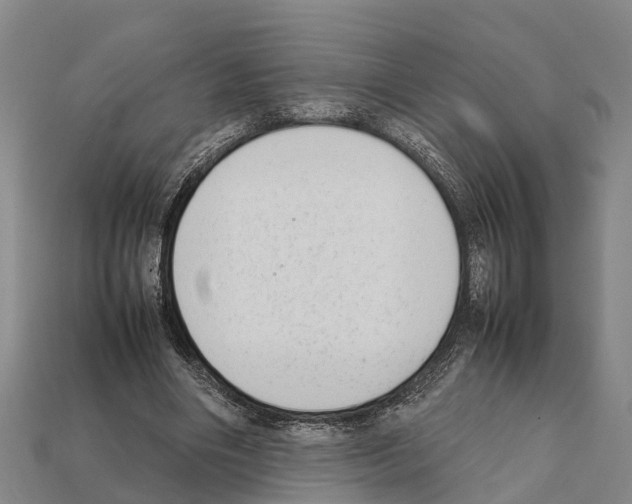 X0000111920490200909071221