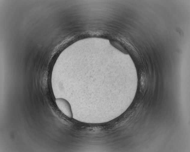 X0000111920492200909071221