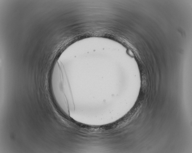 X0000111920493200909071221