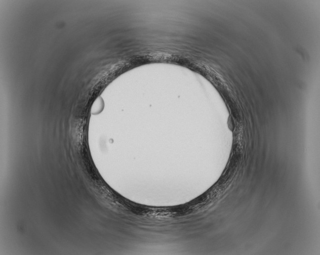 X0000111920495200909071221