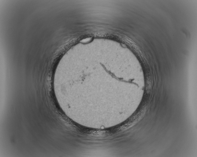 X0000111920497200909071220